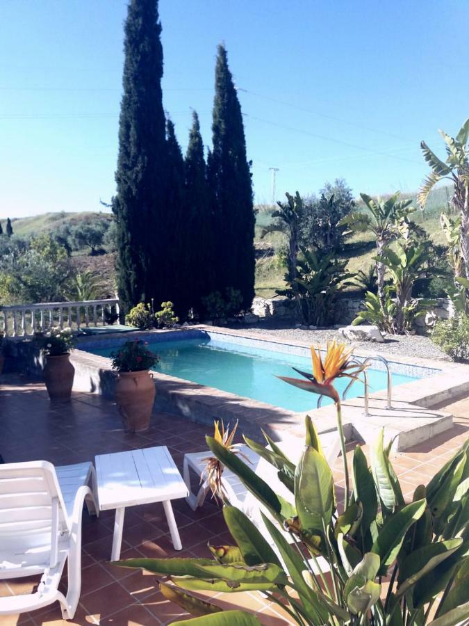 Villa De La Rosa Málaga Kültér fotó